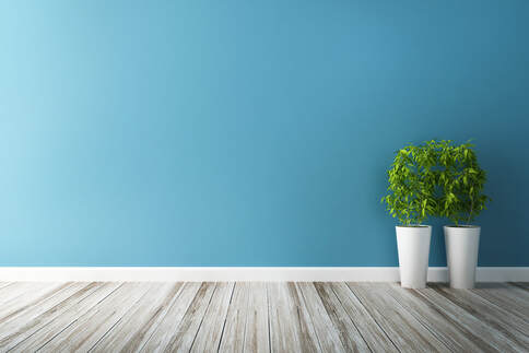 blue wall with two green plants and hardwood floor
